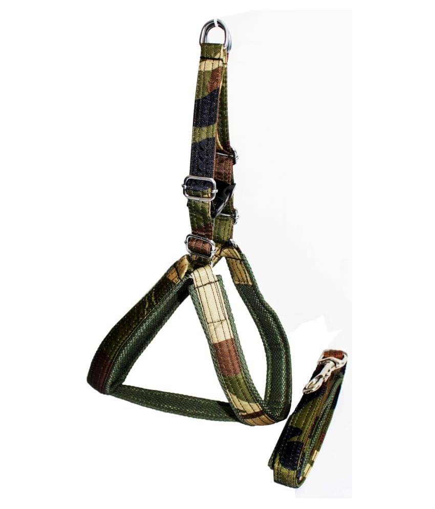     			Petshop7 - Multicolor Dog Combo (Small)