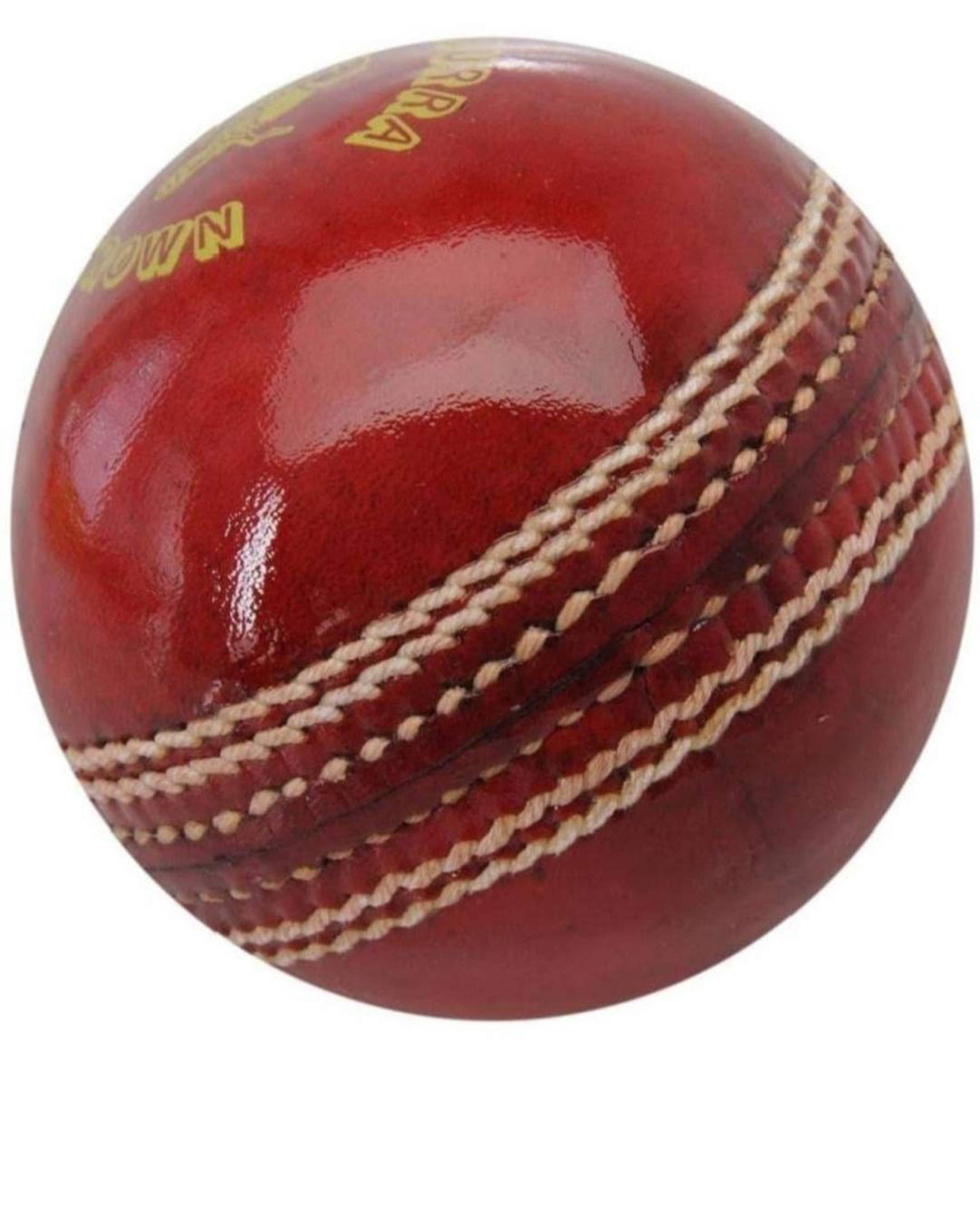     			PRO CLUB LEATHER CRICKET BALL (PACK OF 1)