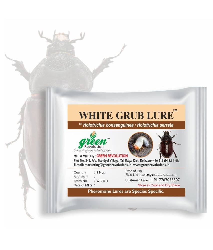 White Grub Pheromone Lure for controlling Holotrichia consanguinea, Holotrichia serrata. White Grub Pheromone Lure for controlling Holotrichia consanguinea, Holotrichia serrata.