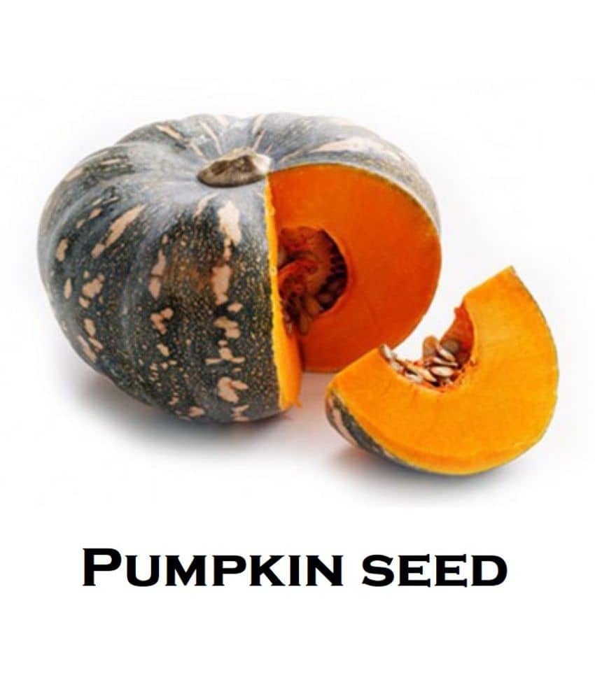Hybrid Pumpkin Seeds ( 40 Seeds)