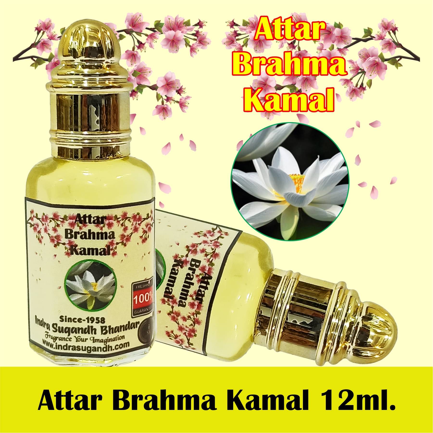     			INDRA SUGANDH BHANDAR - Brahma Kamal Attar For Men & Women 12ml Pack Of 1