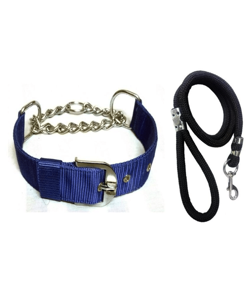     			Smart Doggie - Multicolor Dog Collar (Small)