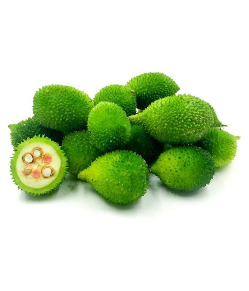 Kantola seed - ( 20 seed ) spiny gourd - Momordica dioica - teasle gourd Seed Kantola seed - ( 20 seed ) spiny gourd - Momordica dioica - teasle gourd Seed
