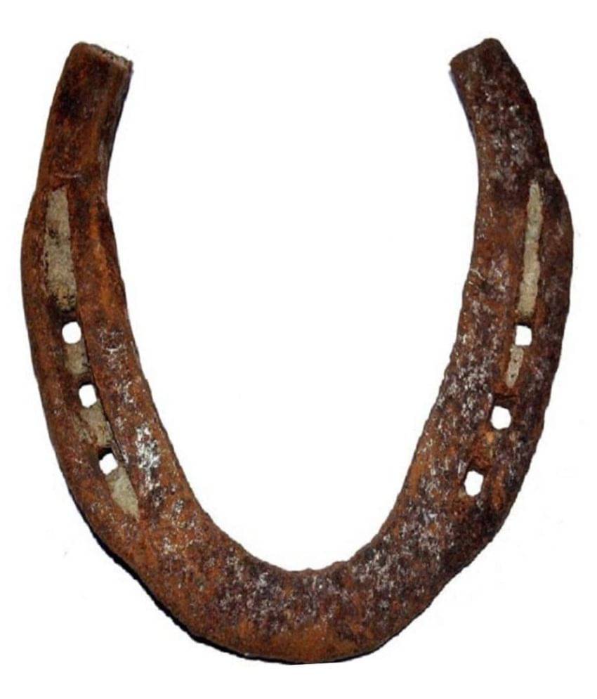     			Shri Astha Vinayak - Iron Ghode Ki Naal (Pack of 1)
