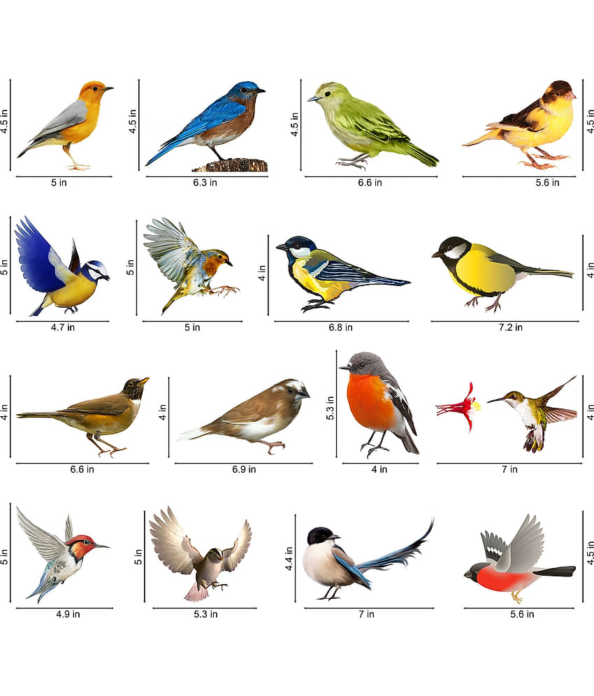 WallDesign Colorful Natural Birds-Big Vinyl Switch Board Sticker - Pack of 16