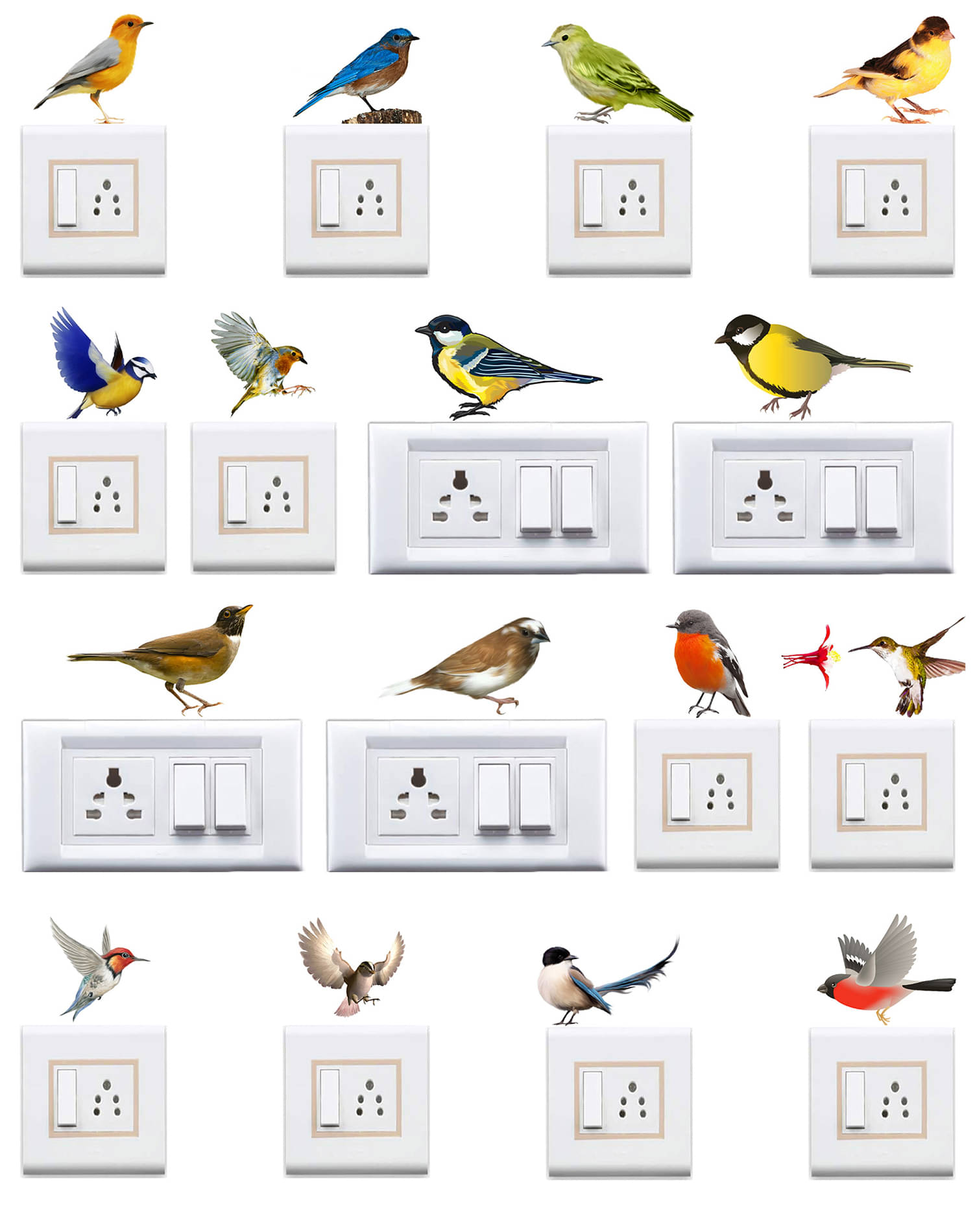     			WallDesign Colorful Natural Birds Sticker Vinyl Switch Board Sticker - Pack of 16
