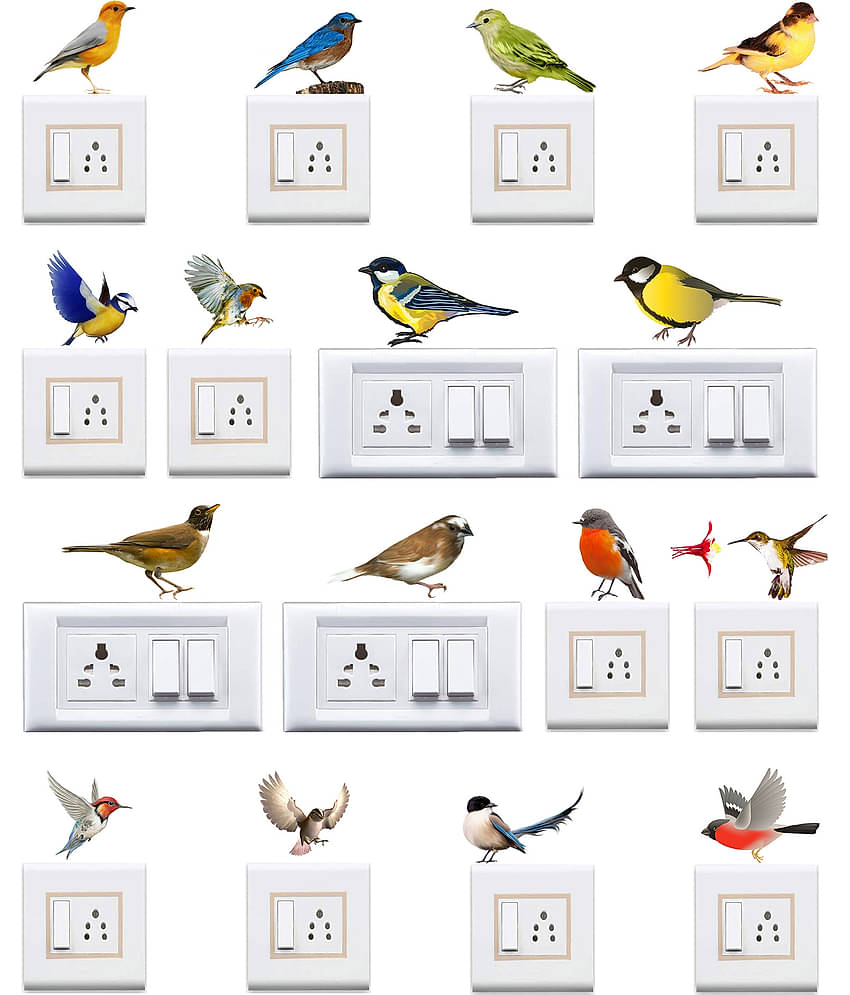 WallDesign Colorful Natural Birds Sticker Vinyl Switch Board Sticker - Pack of 16