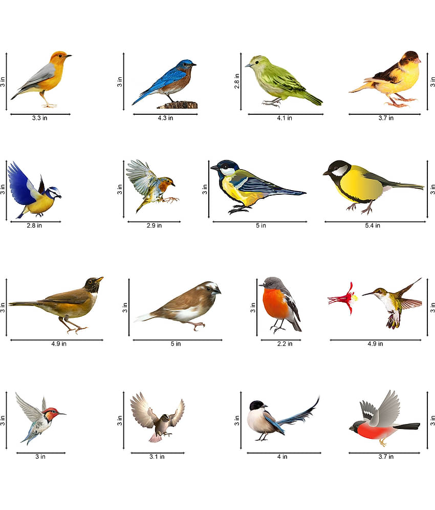 WallDesign Colorful Natural Birds Sticker Vinyl Switch Board Sticker - Pack of 16