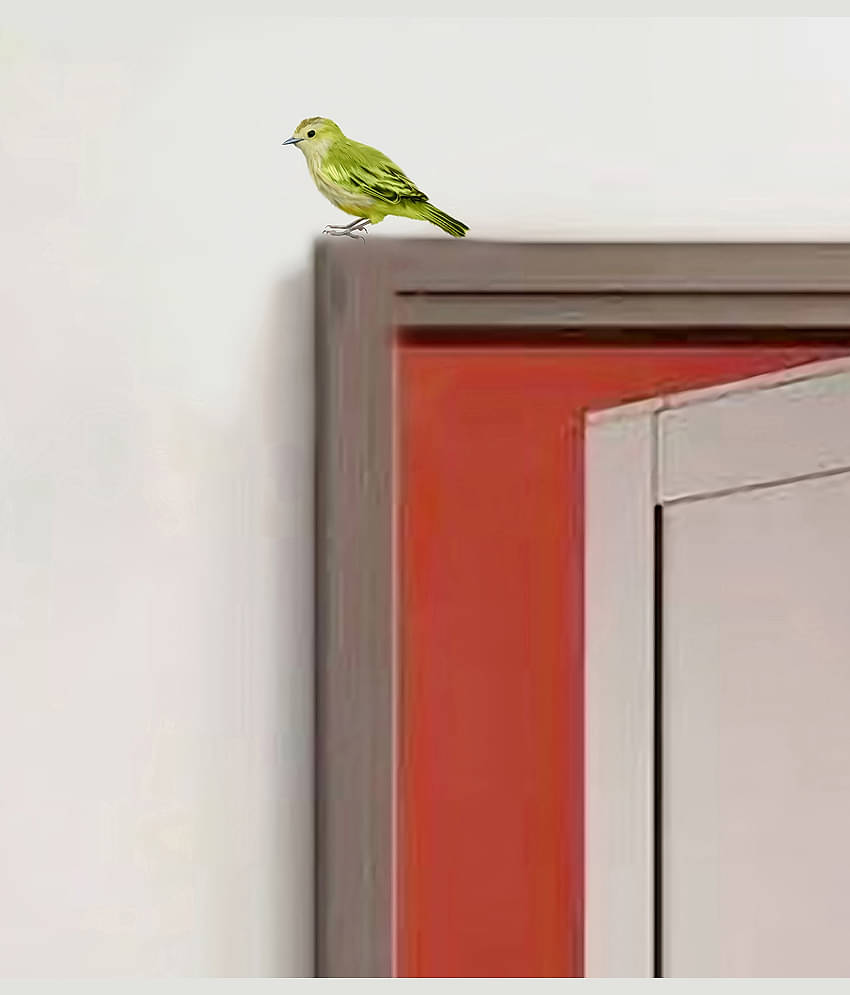 WallDesign Colorful Natural Birds Sticker Vinyl Switch Board Sticker - Pack of 16