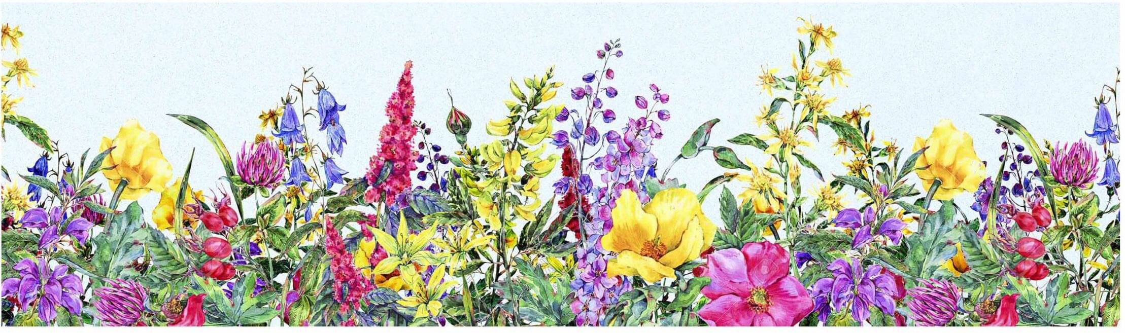 WallDesign Orchid Multicolor Flower - 14 cm W x 153 cm L Floral Sticker ( 153 x 14 cms ) WallDesign Orchid Multicolor Flower - 14 cm W x 153 cm L Floral Sticker ( 153 x 14 cms )