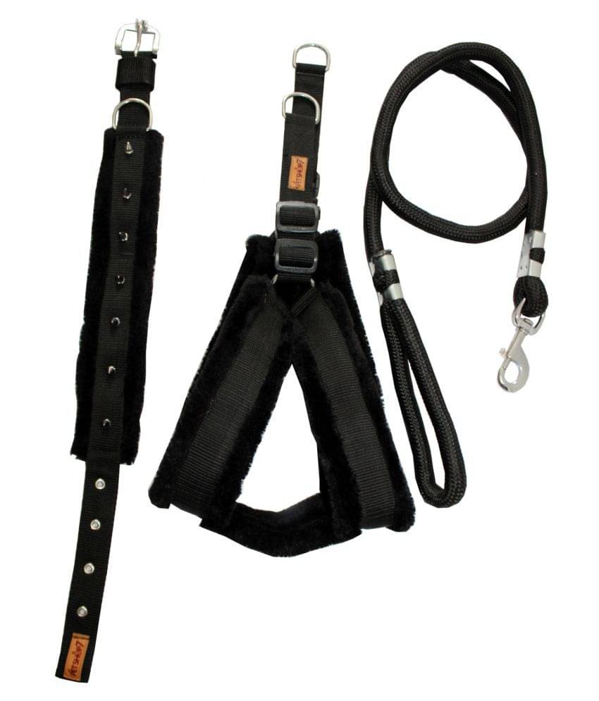     			Petshop7 - Black Dog Combo (Medium)