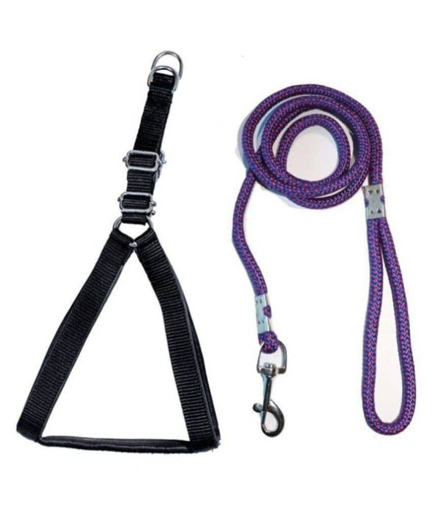     			Tame Love - Black Dog Combo (Small)