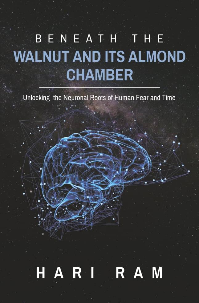 Beneath the walnut & Its Almond Chamber Beneath the walnut & Its Almond Chamber