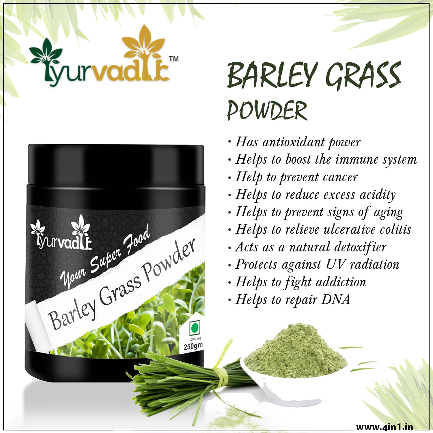 Iyurvadik Pure Barley Grass Powder Powder 250 Gm Pack of 1