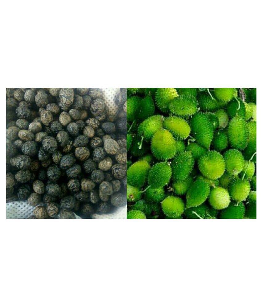 Kantola (teasle gourd) | Pack of 20 Seeds