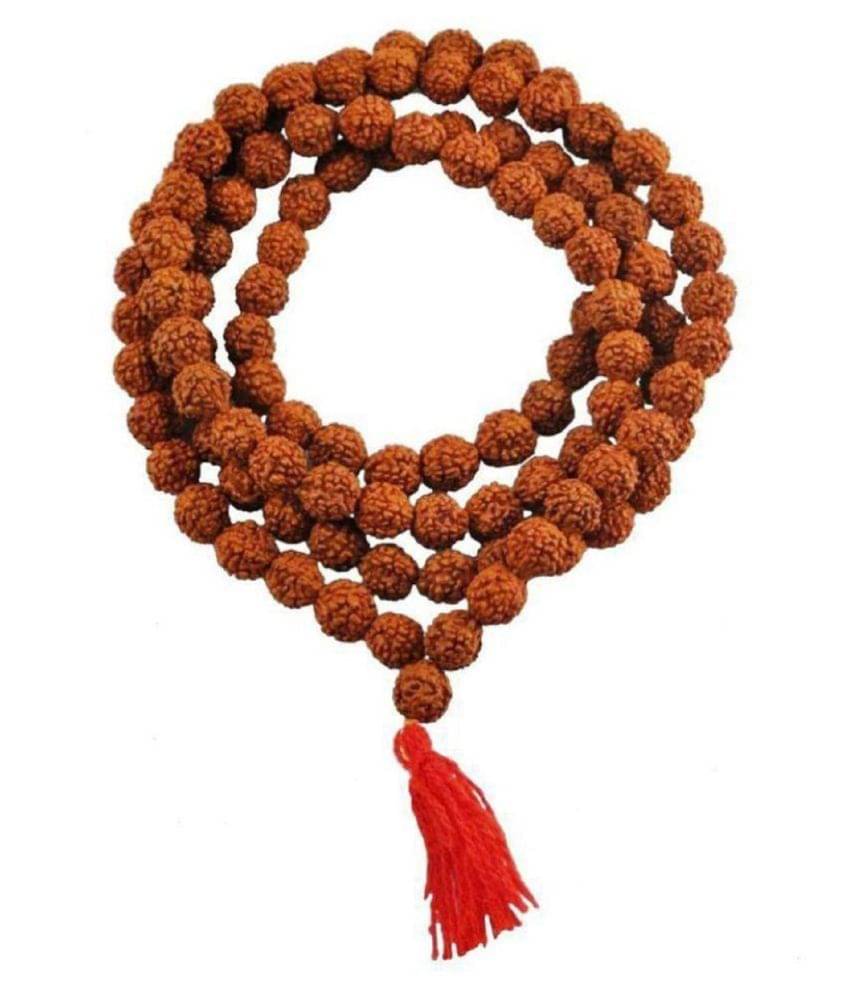     			rudradivine Rudraksha Pack of 1