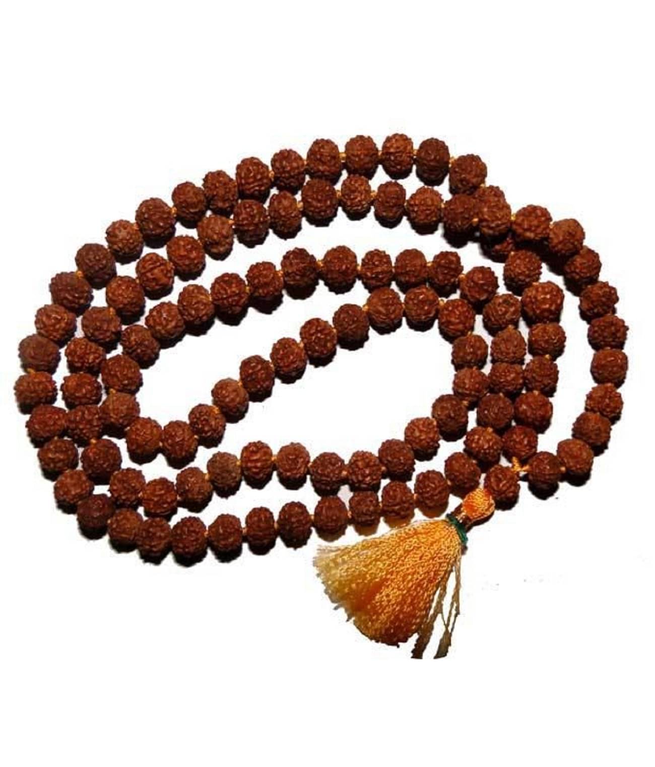     			rudradivine Rudraksha Pack of 1