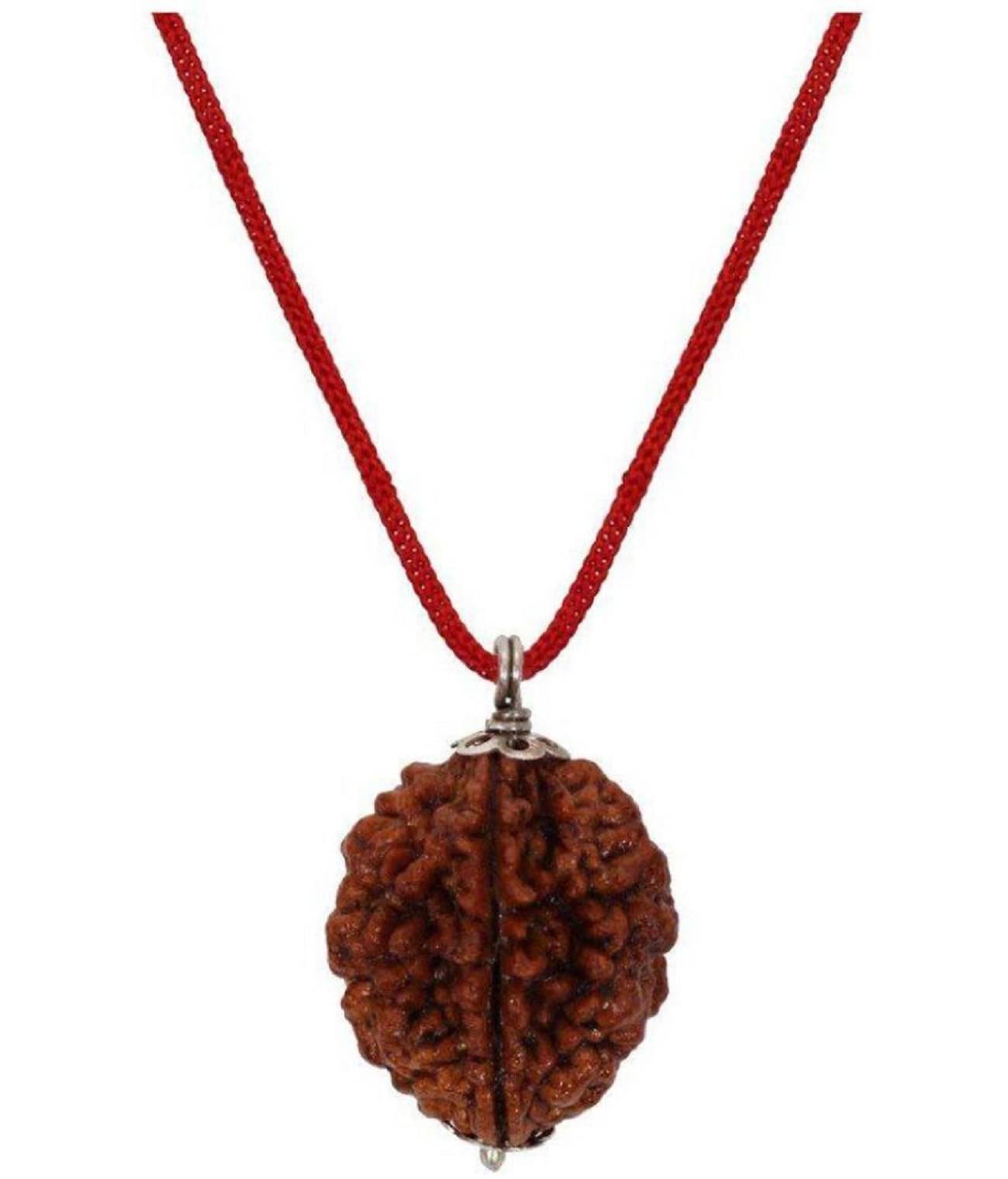     			rudradivine Rudraksha Pack of 1