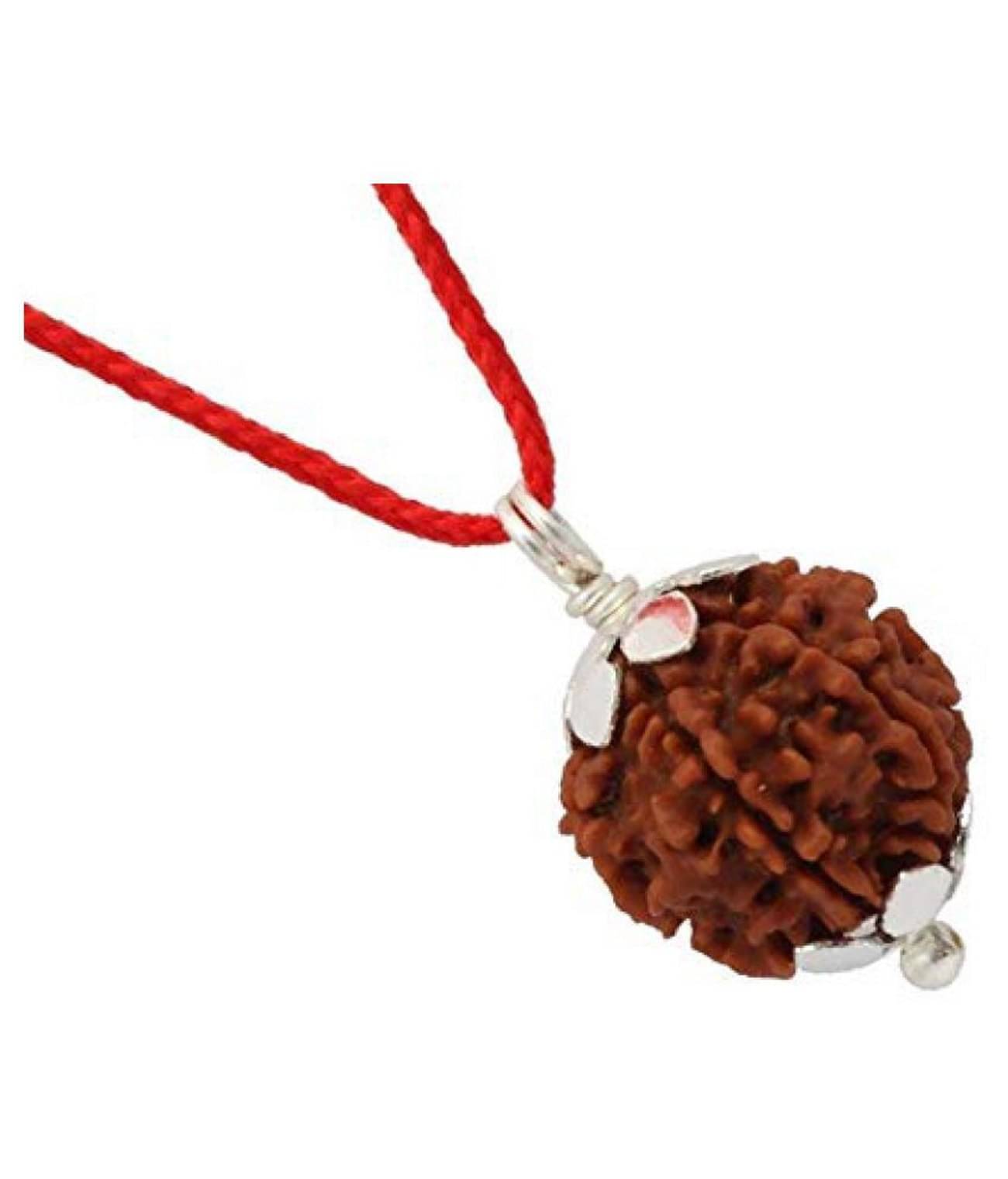     			rudradivine Rudraksha Pack of 1