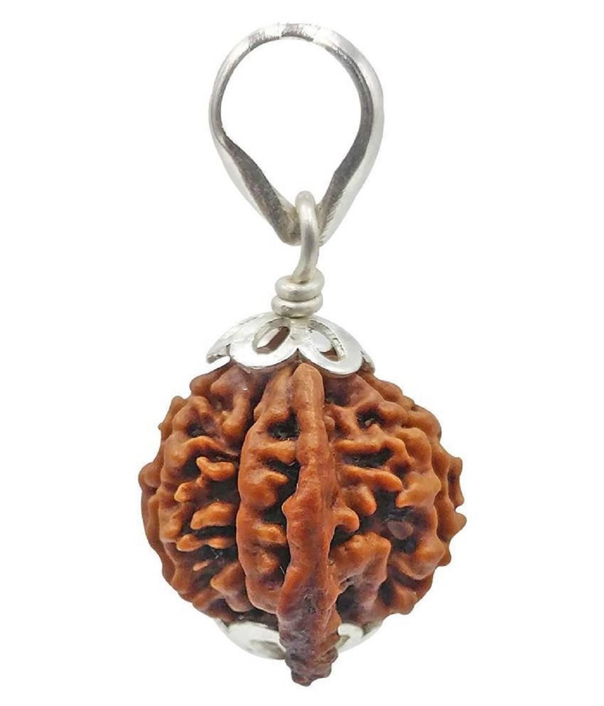     			rudradivine Rudraksha Pack of 1