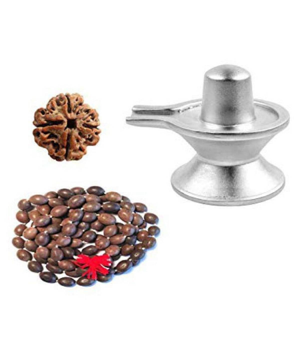     			rudradivine Rudraksha Pack of 1