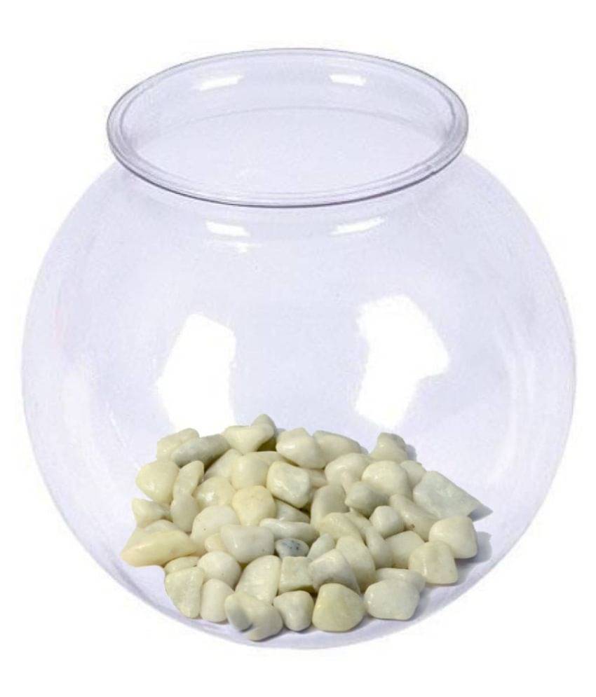 AFAST Transparent Round Glass Fish Pot For Zoom View With Colorful Stones, 6 Inch Table Top AFAST Transparent Round Glass Fish Pot For Zoom View With Colorful Stones, 6 Inch Table Top