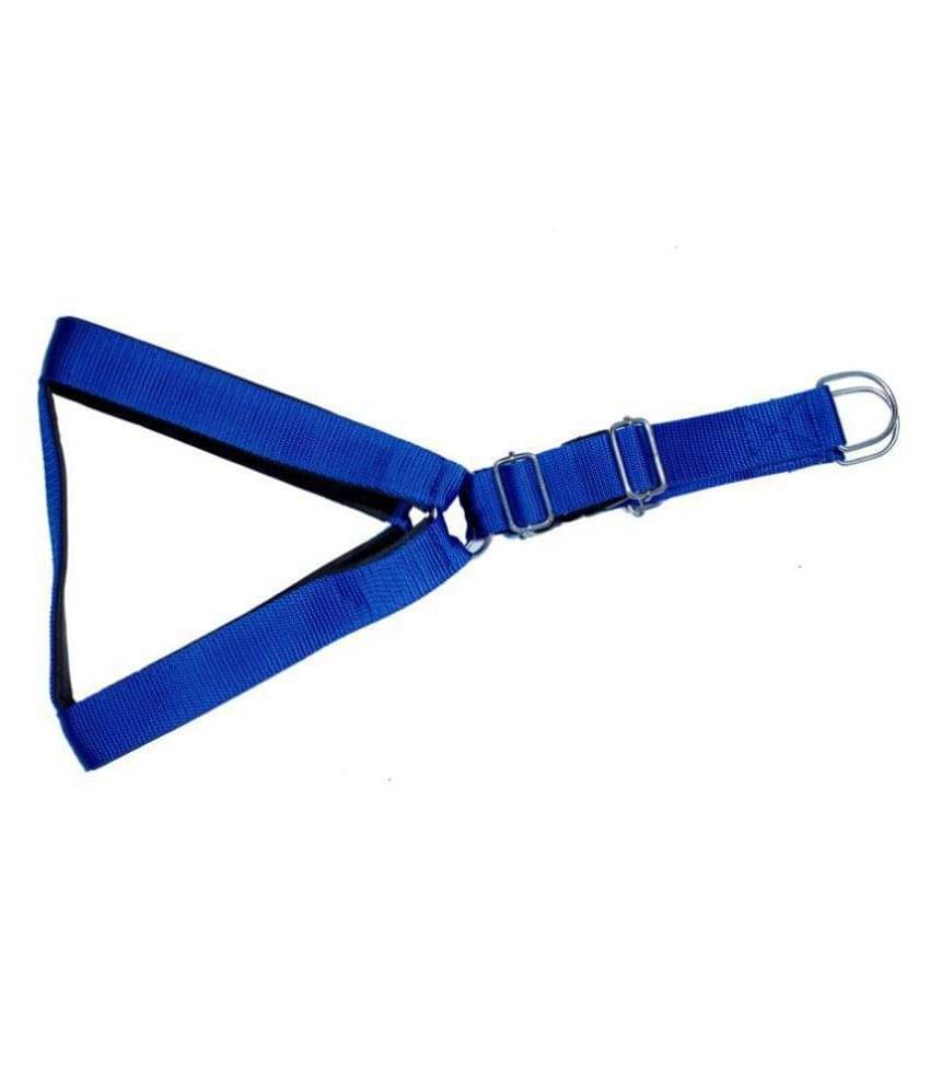 Tame Love Padded Harness and Leash for Adult Dogs of All Breeds (Blue Color - 1.25 inches) Tame Love Padded Harness and Leash for Adult Dogs of All Breeds (Blue Color - 1.25 inches)