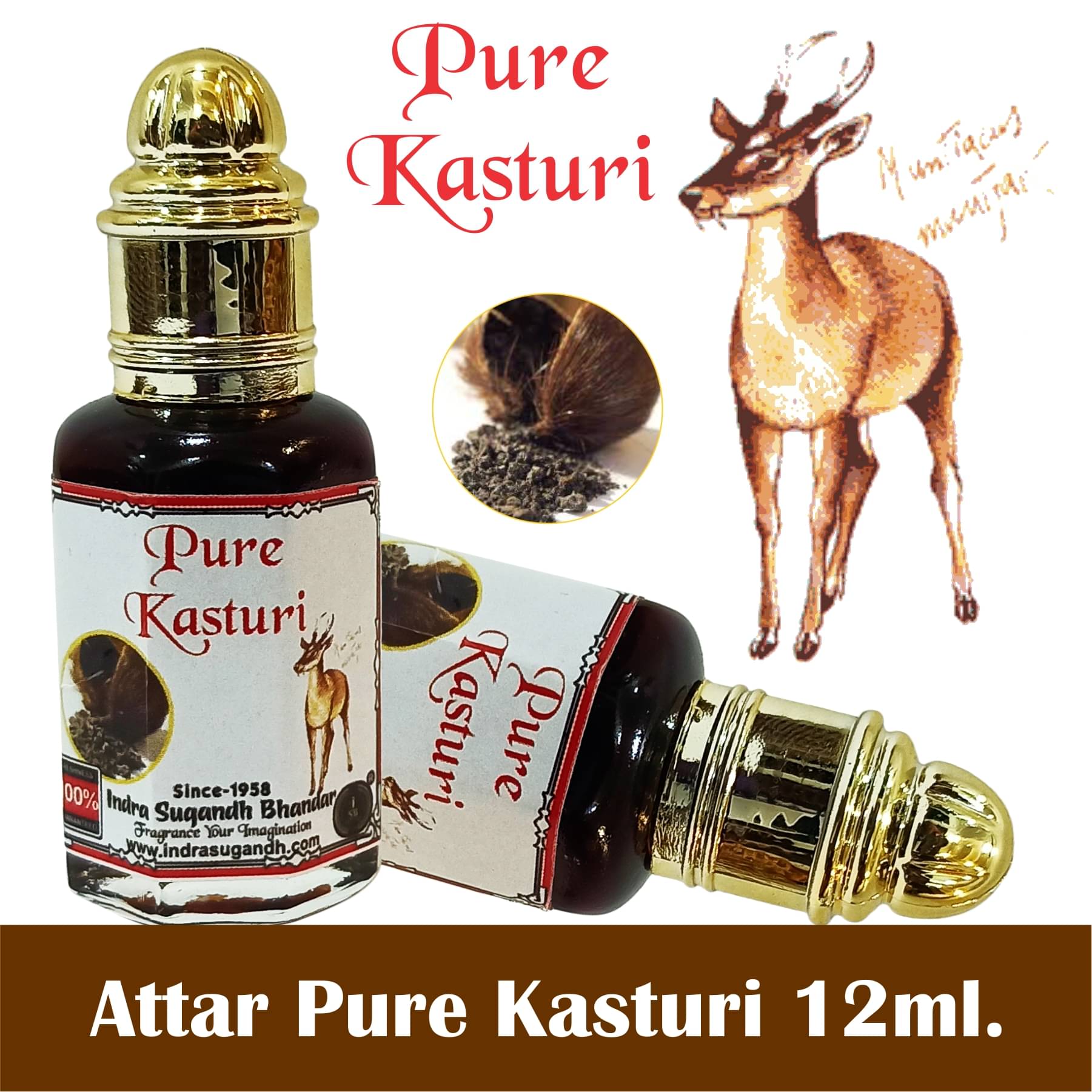     			INDRA SUGANDH BHANDAR Attar For Men|Women Real & Pure Kasturi Deer Musk 24 Hours Freshness White Long Lasting Fragrance 12ml Rollon Pack