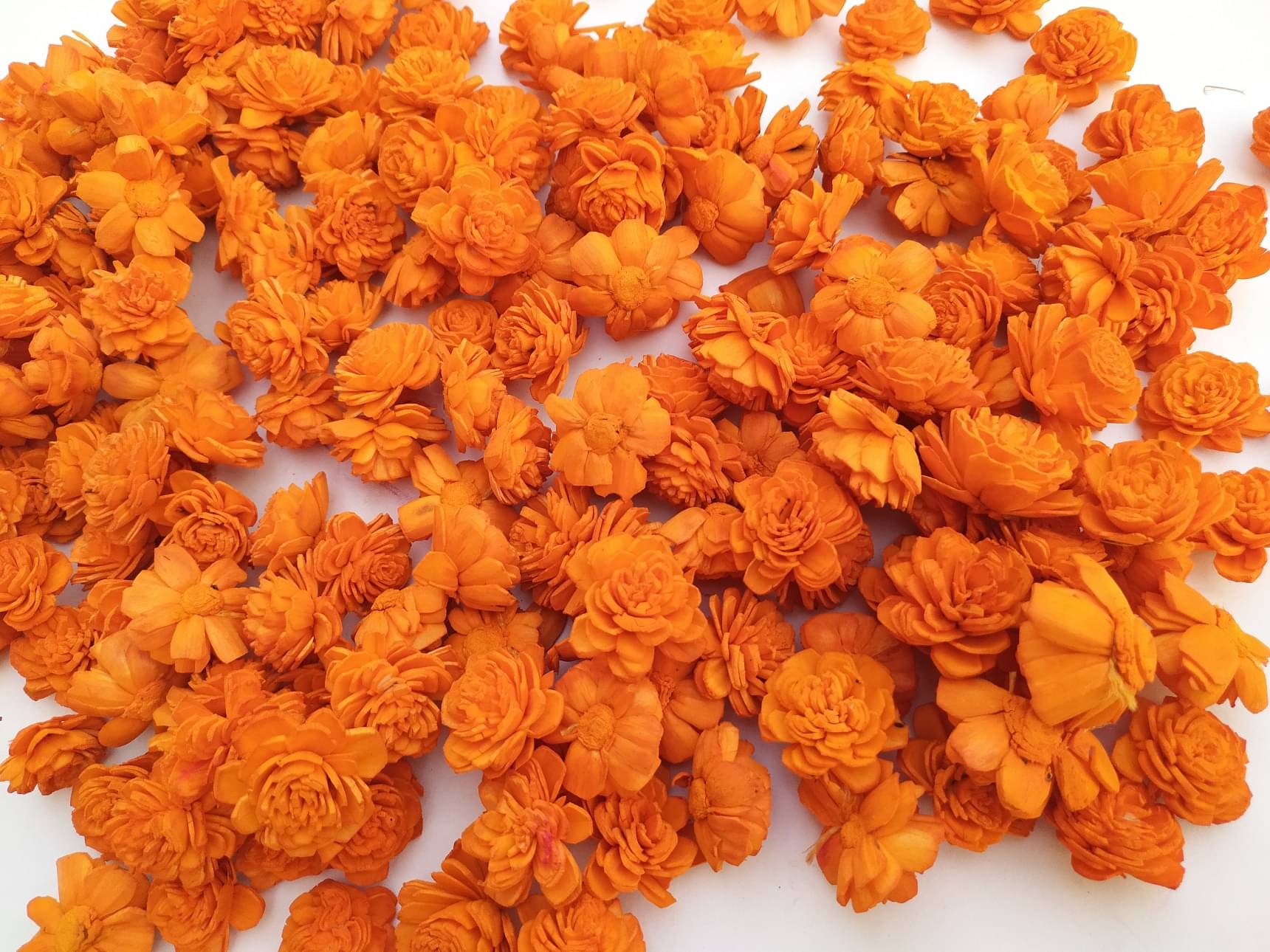     			Fab n Style Rose Orange Artificial Flowers - Pack of 1