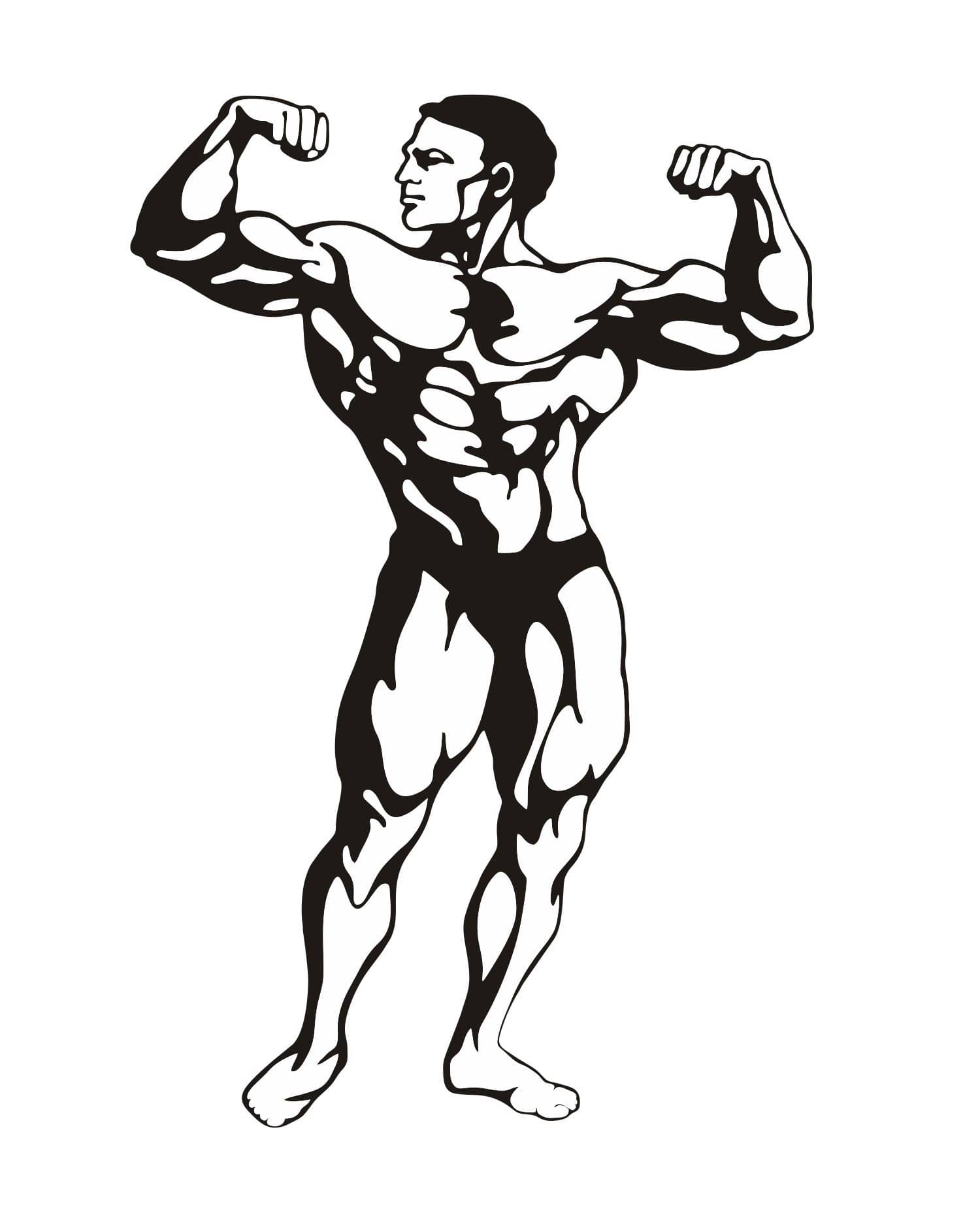     			Asmi Collection Body Builder Wrestler Wall Stickers for Gym Sticker ( 40 x 60 cms )