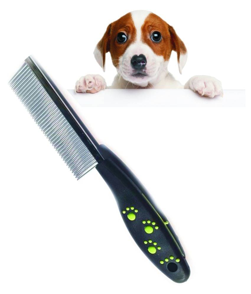     			Single Sided Plastic Handle Dog & Cat  Grooming Brush Pack of 1 (100gm)