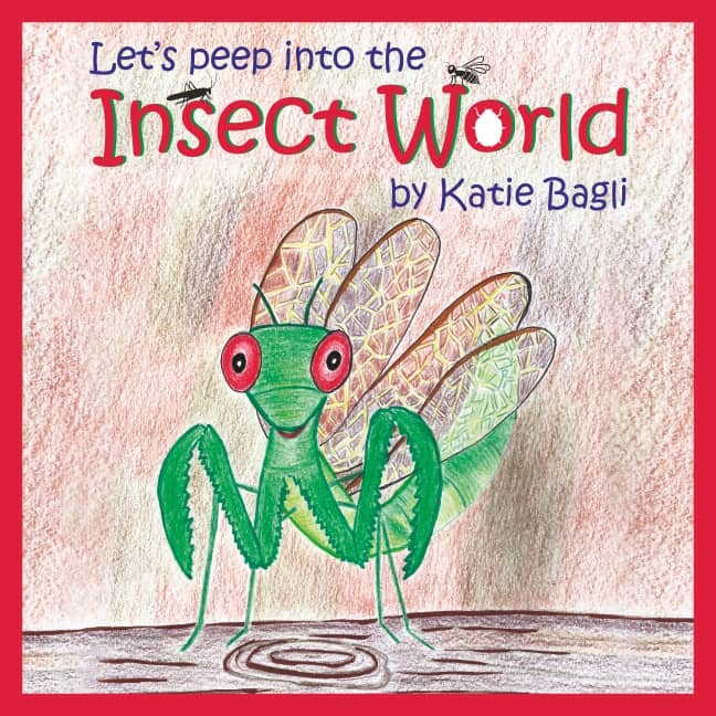Lets peep into the Insect World
