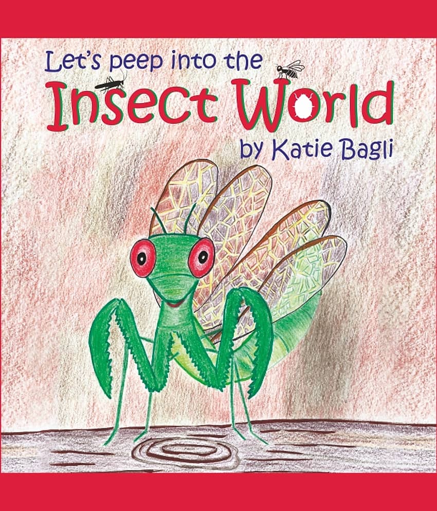 Lets peep into the Insect World - Stationery | Buy online on ZillyBuy