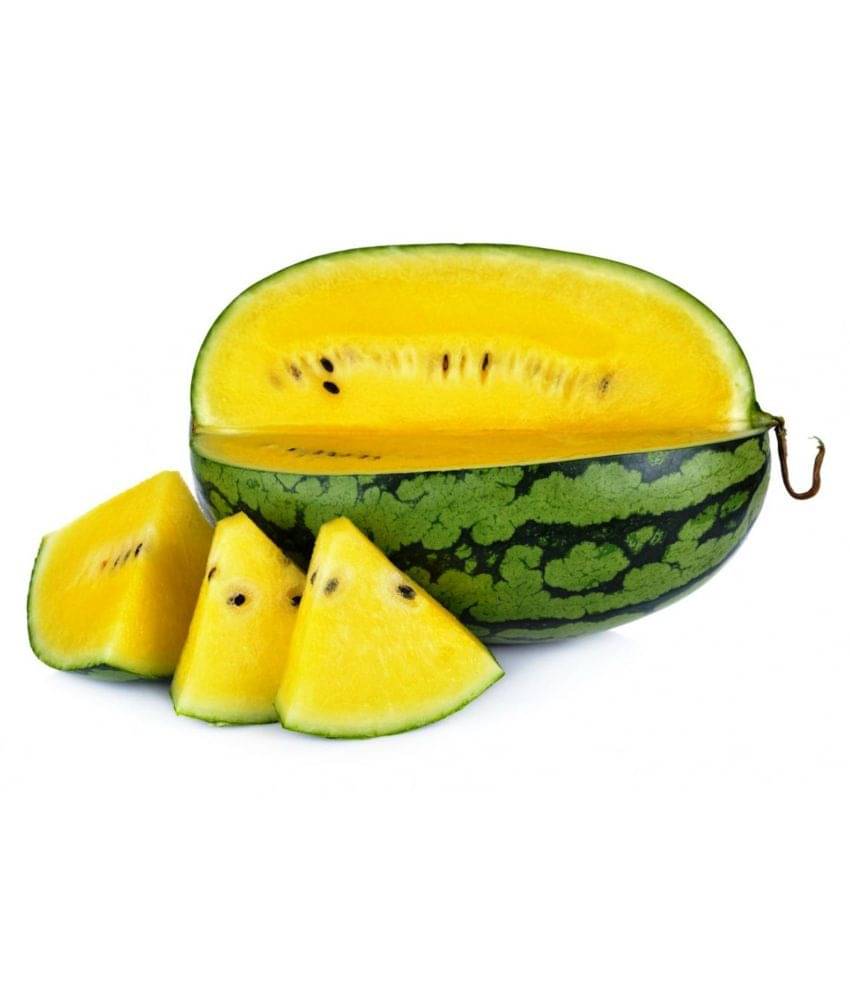 Iris Hybrid Seeds Fruit Seeds Yellow Watermelon Iris Hybrid Seeds Fruit Seeds Yellow Watermelon