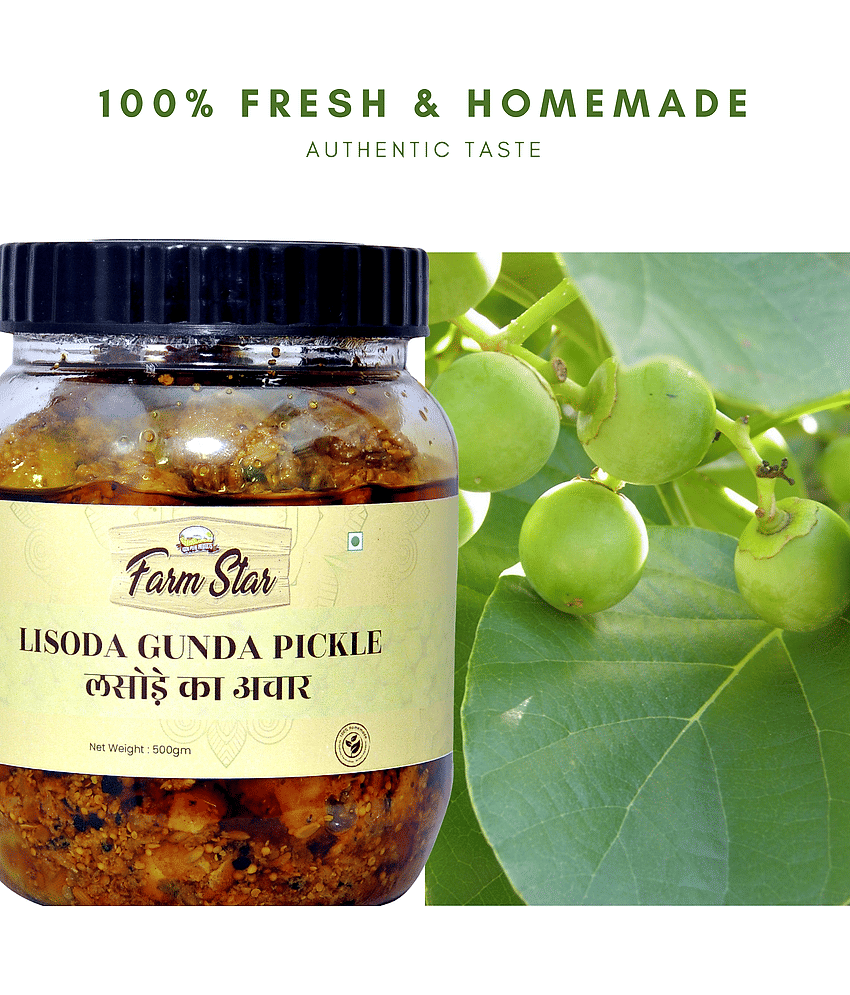 Farm Star ( Homemade) Vegetable Pickle 500 g