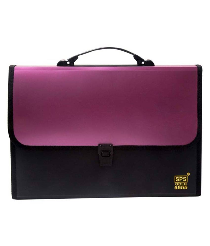 RANGWELL Presents Plastic File Folder F/C Expanding Bag with Handle (PINK/Multicoloured (AKSHAR ENTERPRISES) RANGWELL Presents Plastic File Folder F/C Expanding Bag with Handle (PINK/Multicoloured (AKSHAR ENTERPRISES)
