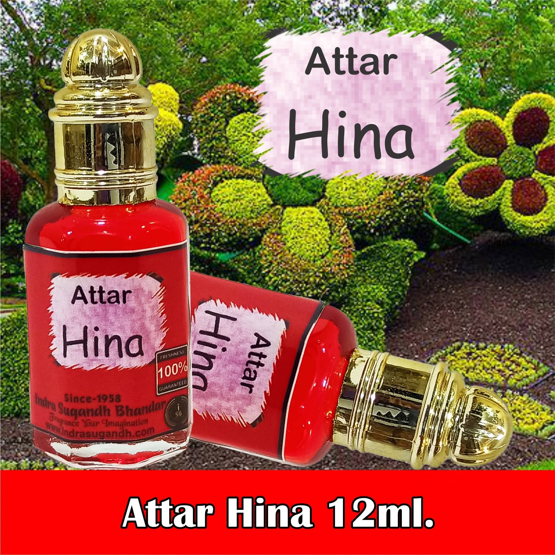     			INDRA SUGANDH BHANDAR - Hina Kannauji Attar For Men & Women 12ml Pack Of 1