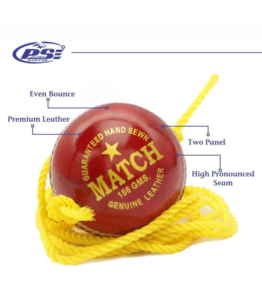     			PSE Red Practice Hanging Leather Cricket Ball