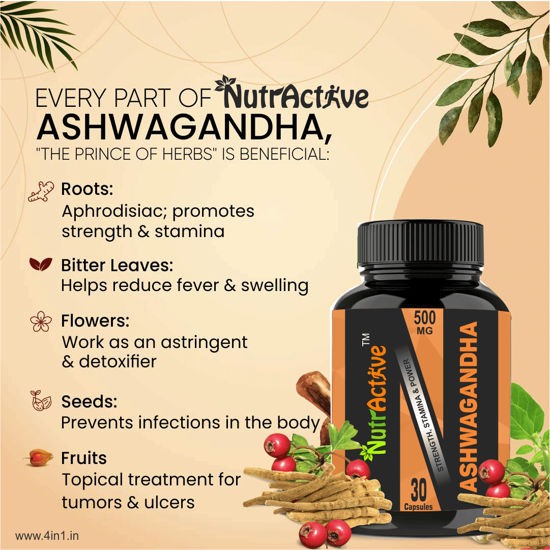 NutrActive Ashwagandha Capsules( 500mg) 90 no.s Capsule Pack of 3