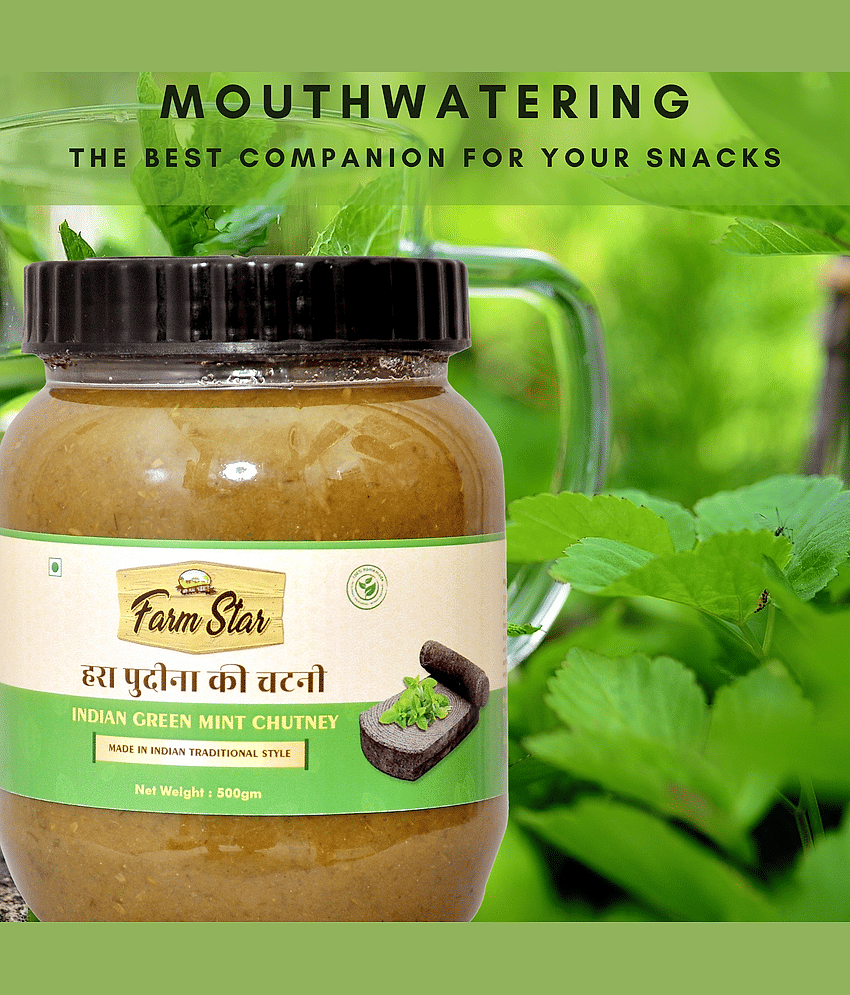 Farm Star Indian Green Mint - Pudina Chutney 500 g