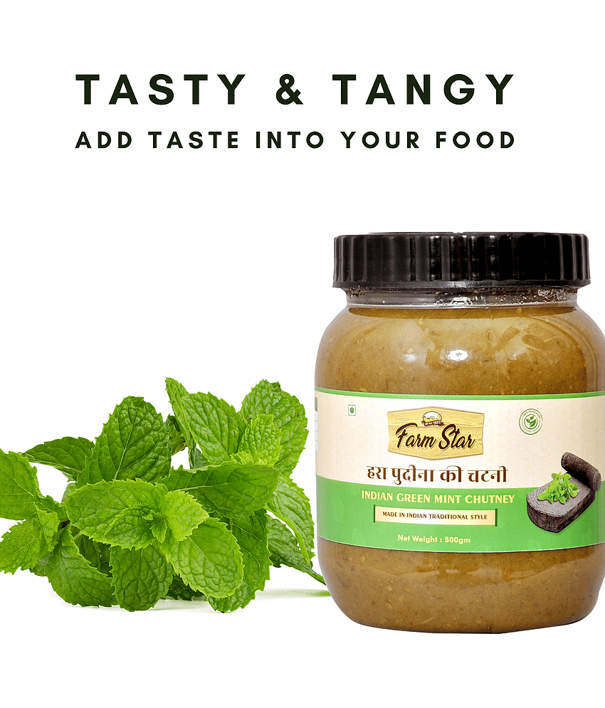 Farm Star Indian Green Mint - Pudina Chutney 500 g