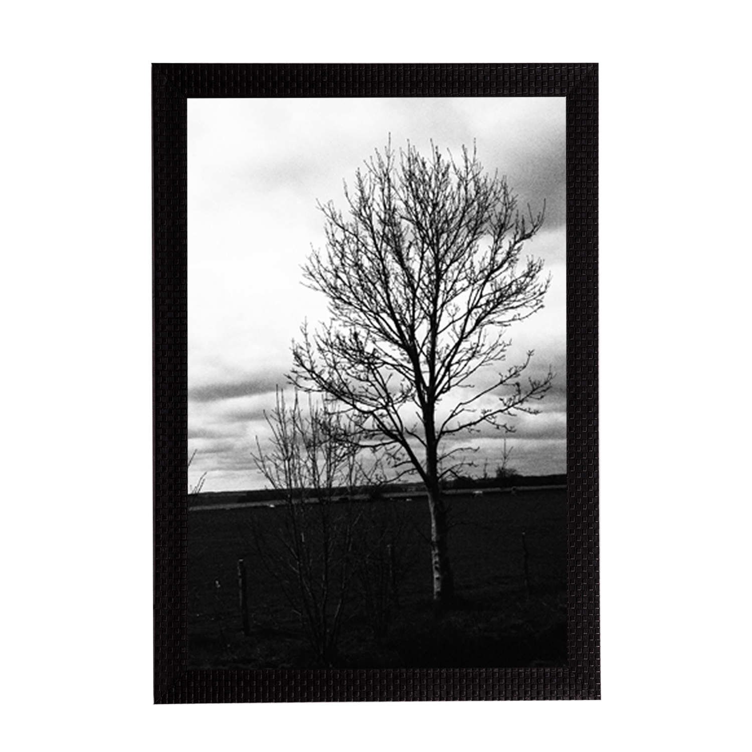     			eCraftIndia Black and White Tree Satin Matt Texture UV Art Painting