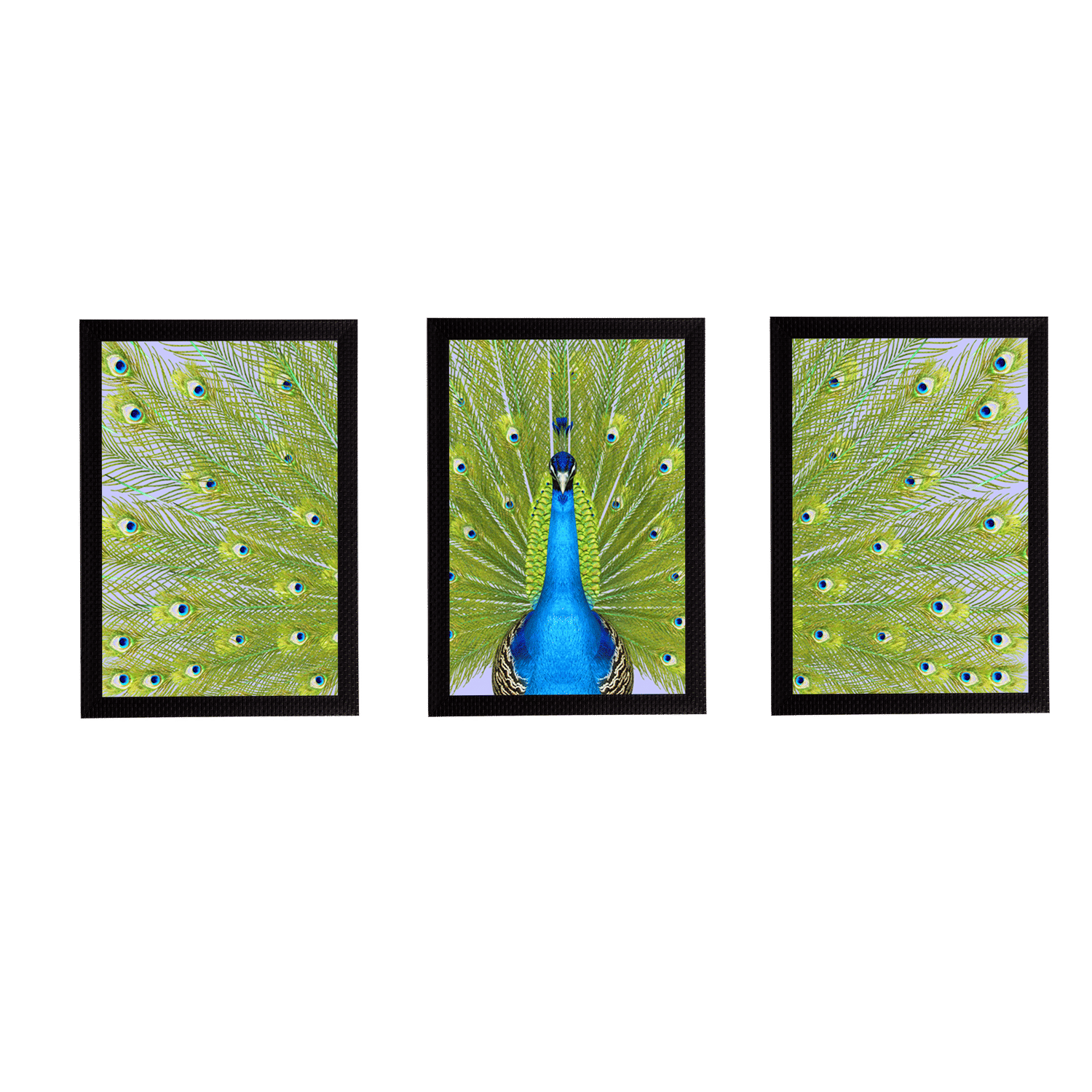 eCraftIndia Set of 3 Peacock Satin Matt Texture UV Art Painting eCraftIndia Set of 3 Peacock Satin Matt Texture UV Art Painting