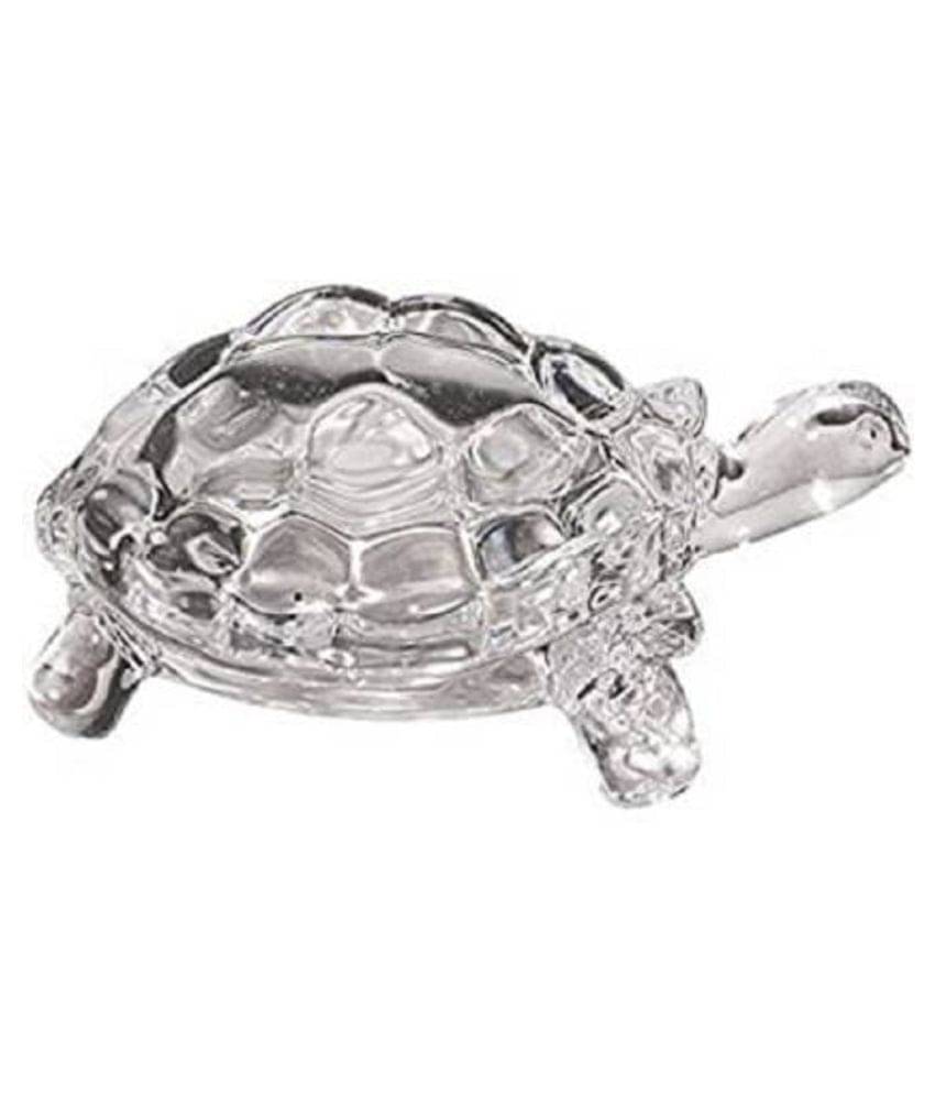     			PAYSTORE Tortoise