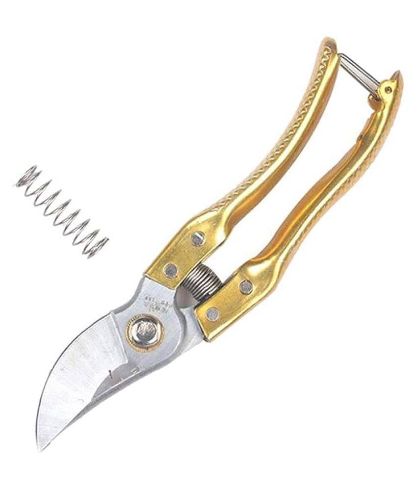 Fervent Garden Steel Shears Pruners Scissor Flower Cutter, Leaf Cutter for Potted Plants Bypass Secateurs Trimmer Carbon Steel Blade (Golden Color Handle) Fervent Garden Steel Shears Pruners Scissor Flower Cutter, Leaf Cutter for Potted Plants Bypass Secateurs Trimmer Carbon Steel Blade (Golden Color Handle)