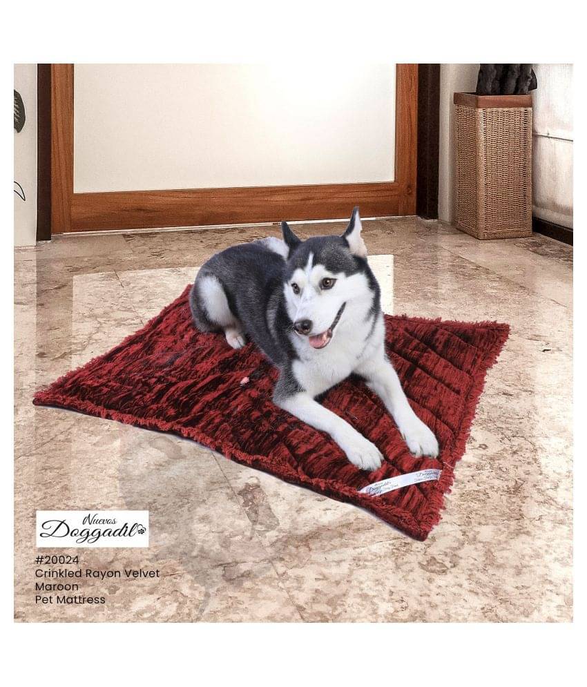 Comfy Crinkle Velvet Pyramid Quilted Pet Mattress for Dogs & Cats Comfy Crinkle Velvet Pyramid Quilted Pet Mattress for Dogs & Cats