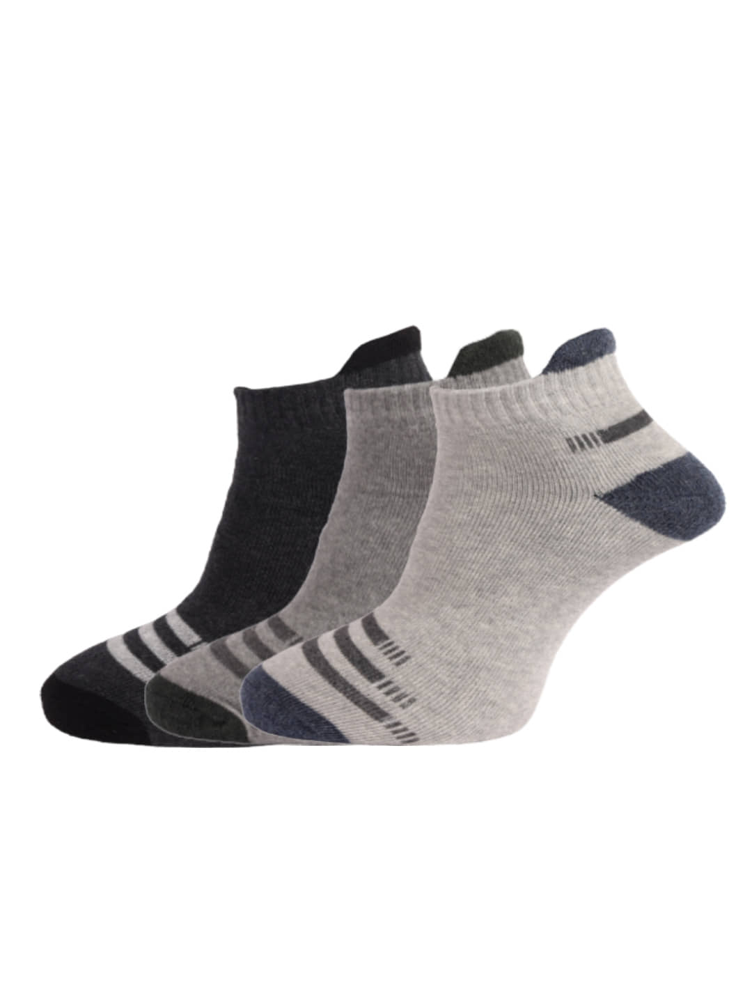 Dollar Cotton Casual Ankle Length Socks Pack of 3 - Socks | Buy online on ZillyBuy
