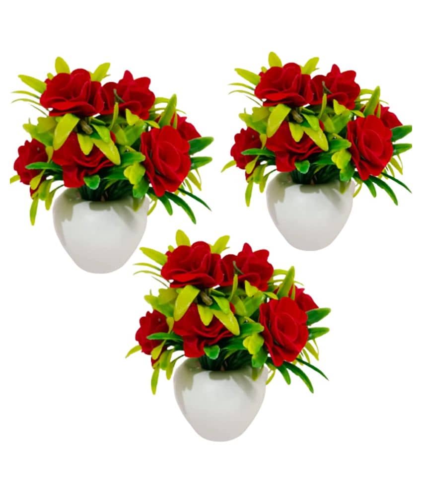 Green plant indoor Rose Multicolour Flowers With Pot - Pack of 3