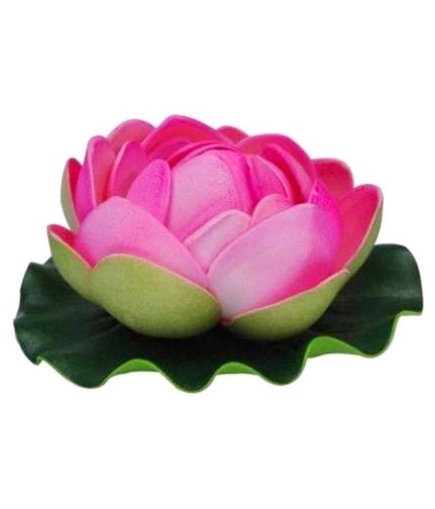 Green plant indoor Lotus Multicolour Floating Flowers - Pack of 1 Green plant indoor Lotus Multicolour Floating Flowers - Pack of 1