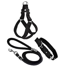 Smart Doggie Combo Of Padded Chest Belt , Collar and Rope For Your Pet Dogs (0.75 inch)